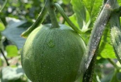 吃瓜的娱乐号,吃瓜群众视角下的明星幕后故事