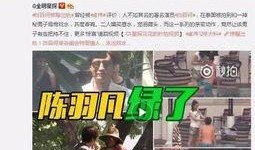 刘仕芹视频爆料违法,真相令人震惊！