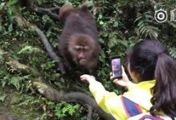猴子视频爆料网站入口在线观看,独家入口带你在线观看最新爆料内容