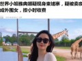 曼谷老白最新爆料视频大全,揭秘泰国首都的繁华背后