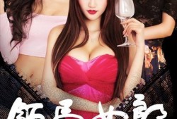 饭局女郎在线观看,揭秘职场饭局背后的权谋与情感纠葛