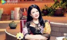 明星大爆料李湘视频播放,明星生活的真实一面