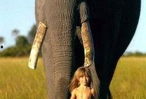 野兽法国在线观看,在线观看，探索法国野性之美