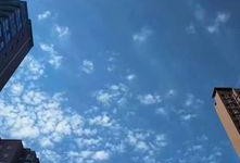 郑州鱼鳞云最新爆料,揭秘神秘科技背后的真相