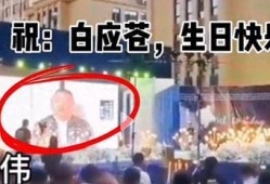 缅北投资者爆料视频大全,视频大全背后的真实故事